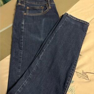Arizona Jean Company Dark Blue Skinny Jeans